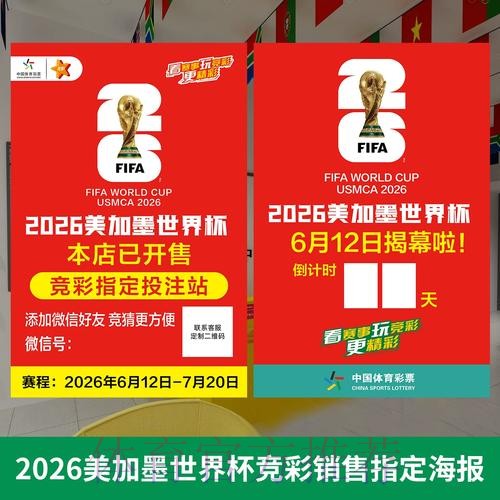 2026世界杯投注全攻略：高清解读与实用技巧